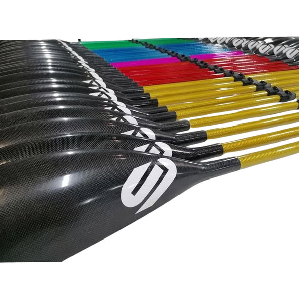 Carbonology Sport Carbon Wing Paddle 2pce