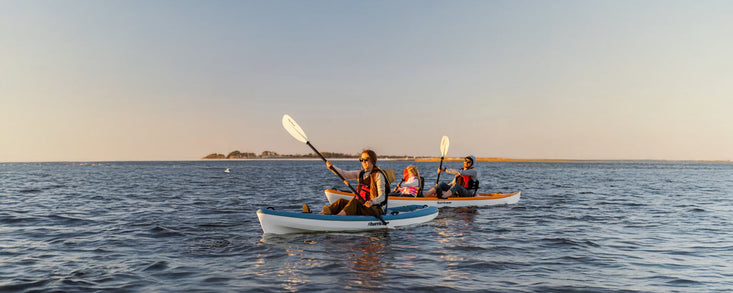 13 Different Types of Paddle Craft: Explaining The Key Differences