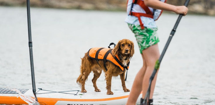 How to Paddle Board in Rivers, Lakes and the Ocean